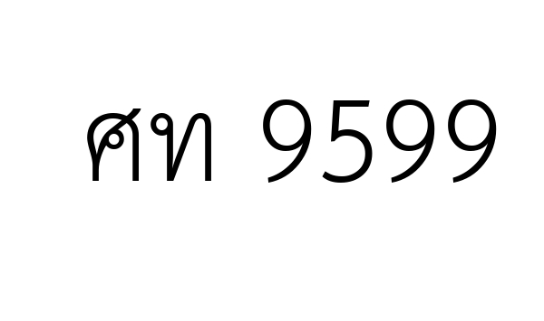 ศท 9599